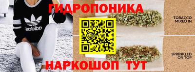 дурь Аргун