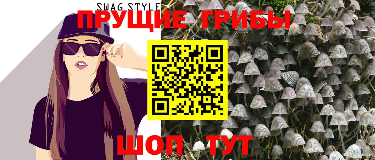 Галлюциногенные грибы GOLDEN TEACHER  Галлюциногенные грибы прущие грибы  даркнет сайт  Большой Камень  Вход с VPN 