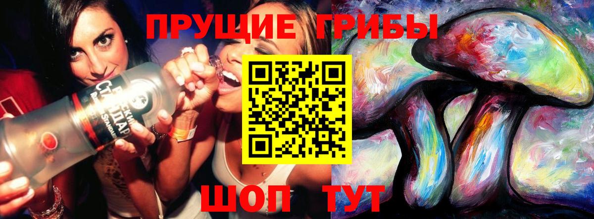 Псилоцибиновые грибы прущие грибы Большой Камень